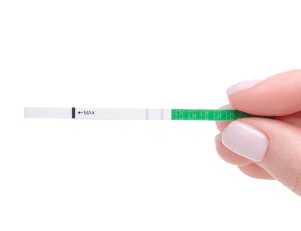 Mit Ovulationstest Eisprung erkennen