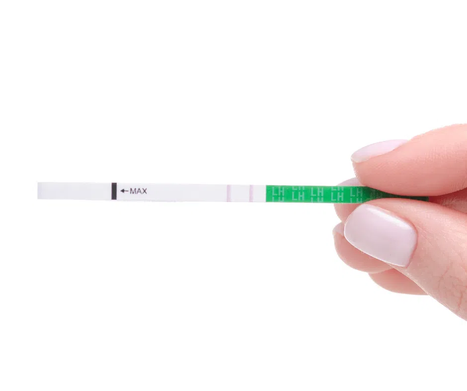 Mit Ovulationstest Eisprung erkennen
