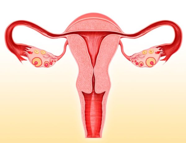 Schwanger werden mit Zervixstenose