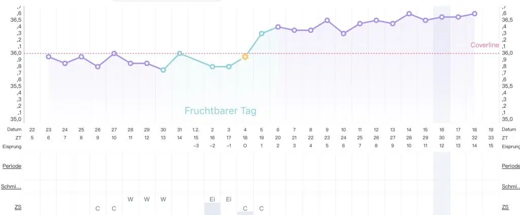Tenperaturkurve Schwangerschaft NFP mit kleinem Östrogenabsacker