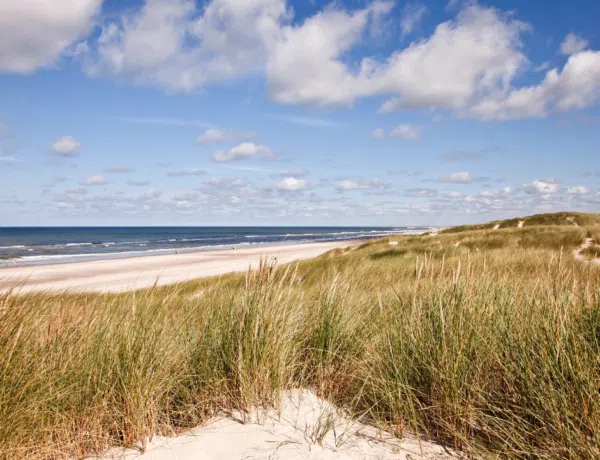 Packliste Nordseeurlaub Kindern Fruehling