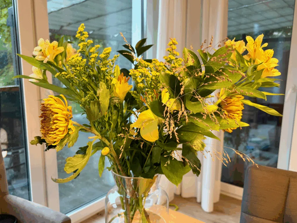 Freddie's Flowers Blumenabo Tag 1