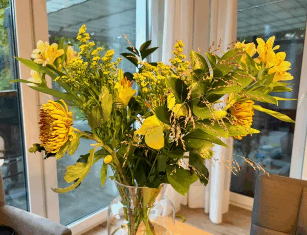 Freddies Flowers Blumenabo Tag 1